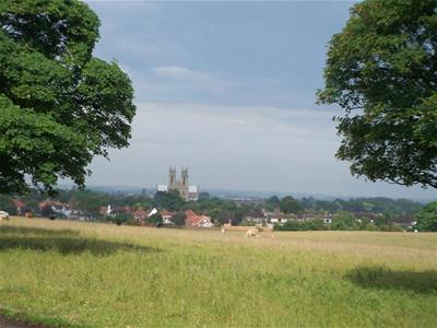 Picture 8